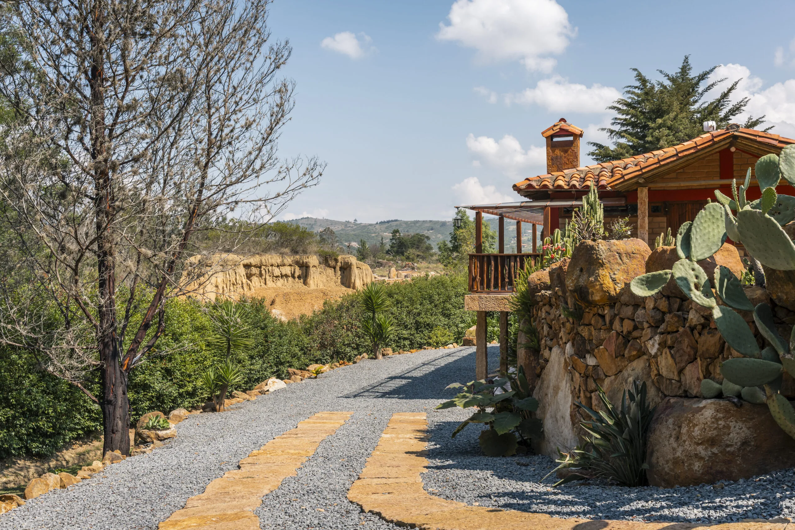 Terraza - Zona exterior