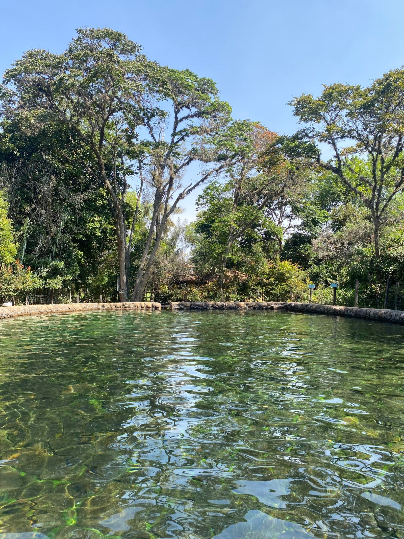 Comida Coreana Villa de Leyva
