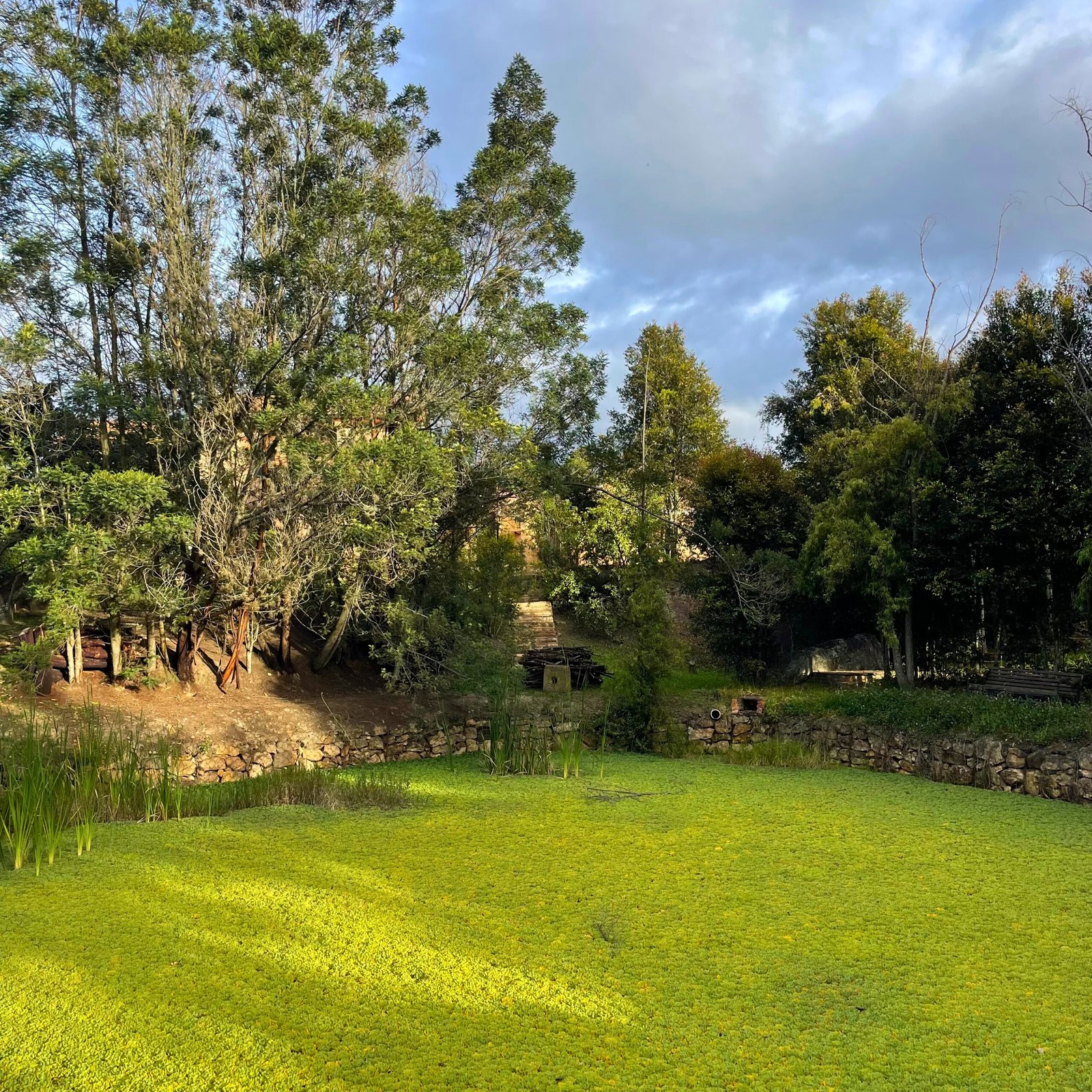 Lago - Casas en Villa de Leyva