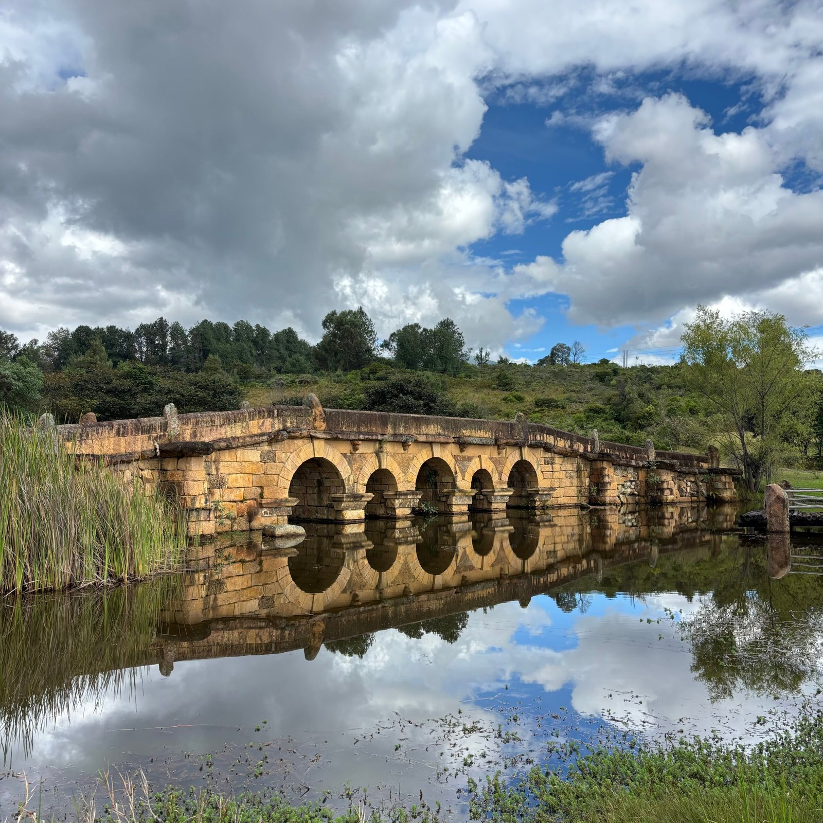 Comida Coreana Villa de Leyva