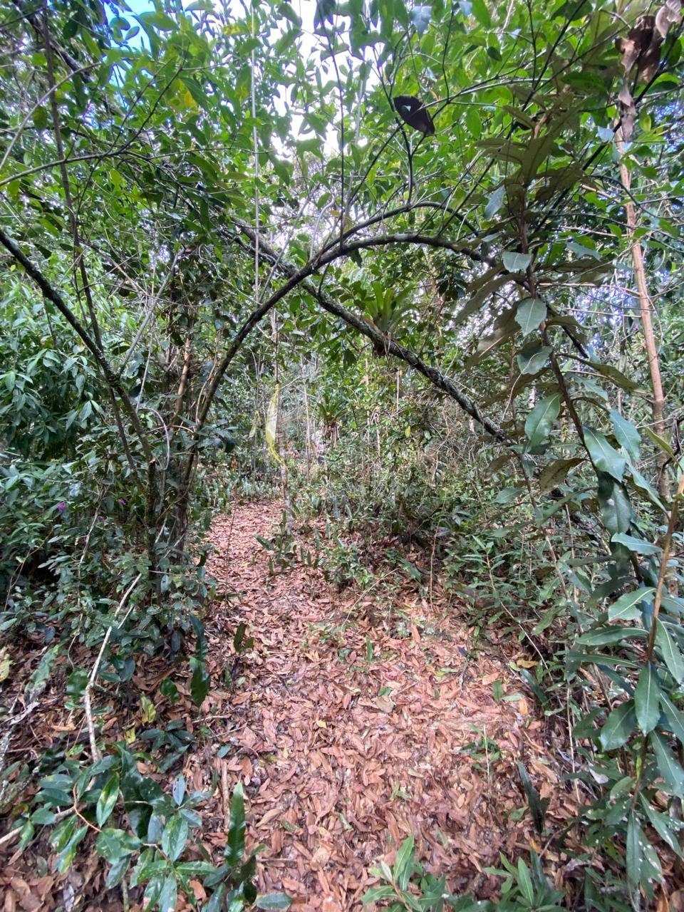 Escaleras - Casas en Villa de Leyva