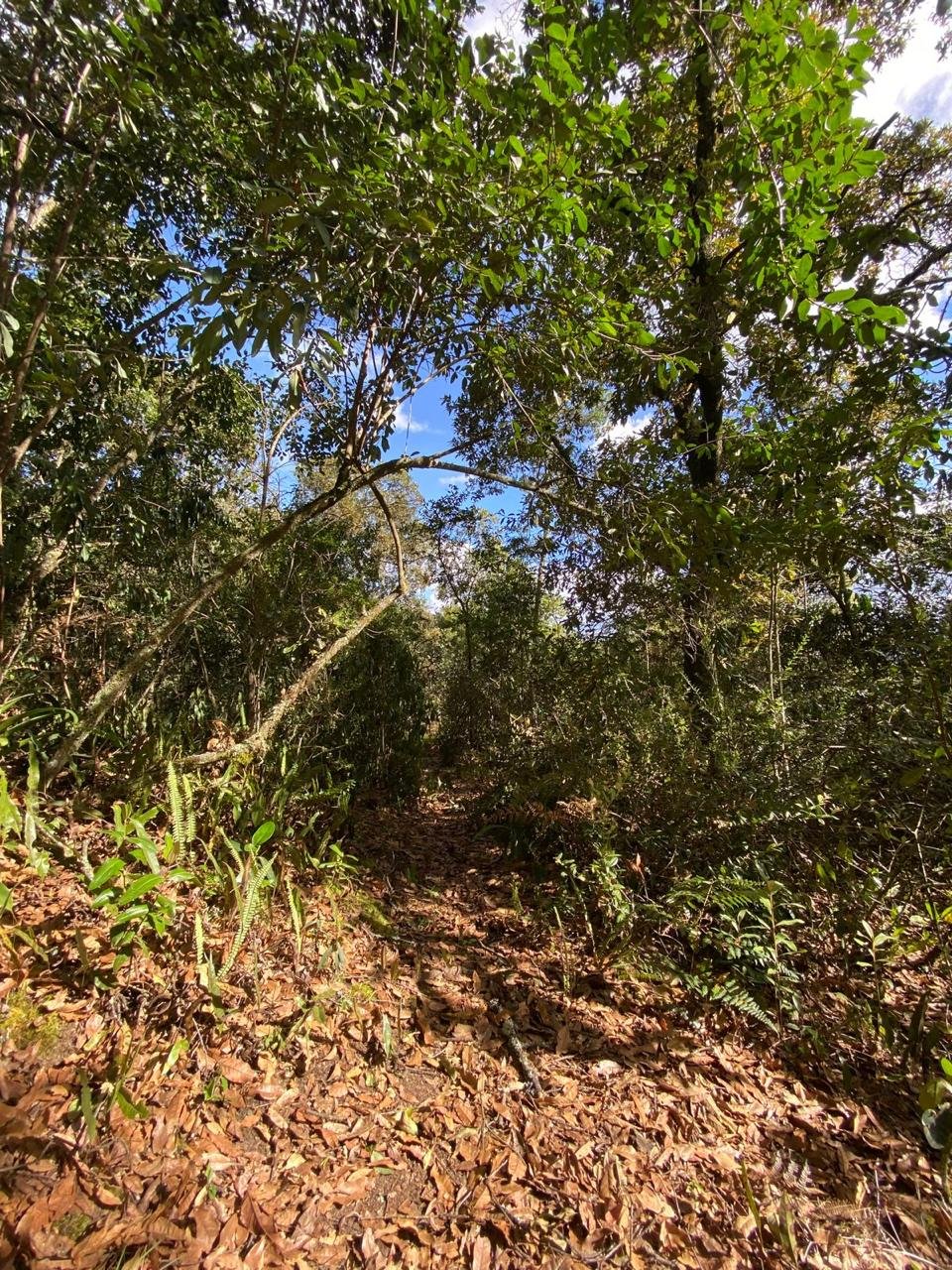 Baño habitación principal - Casa en venta - Villa de Leyva