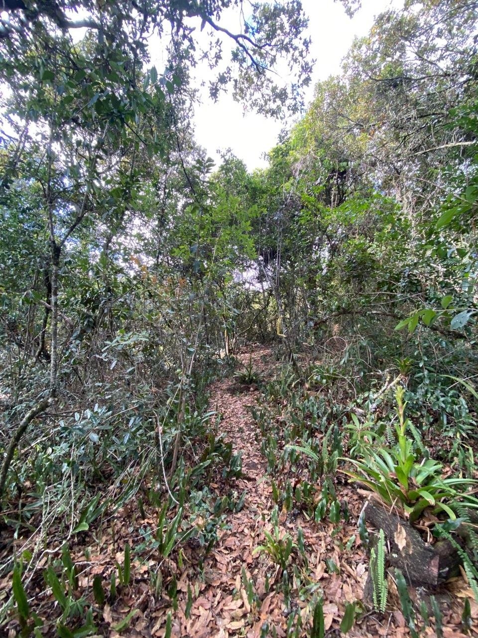 Baño principal - Casas en Villa de Leyva