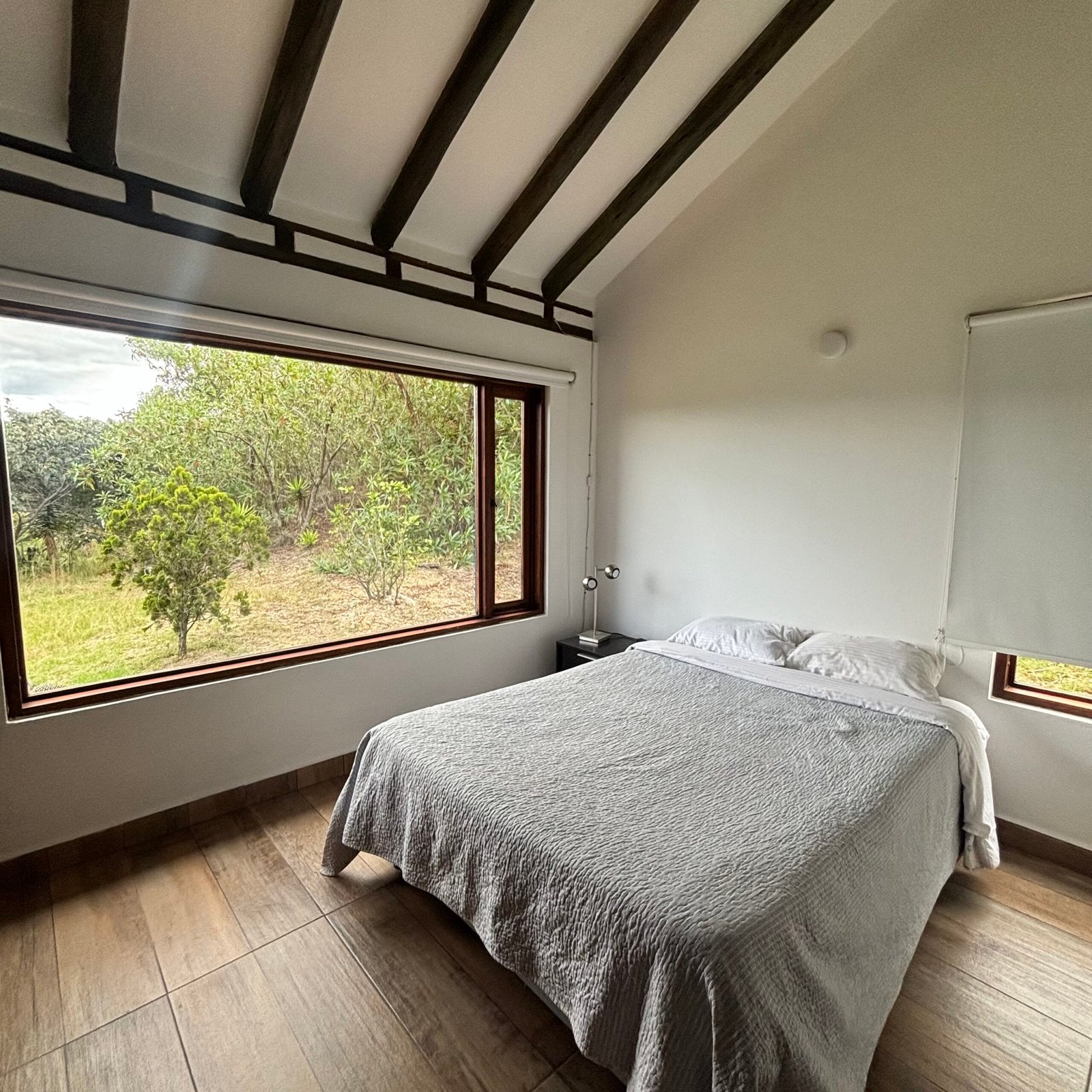 View from the terrace