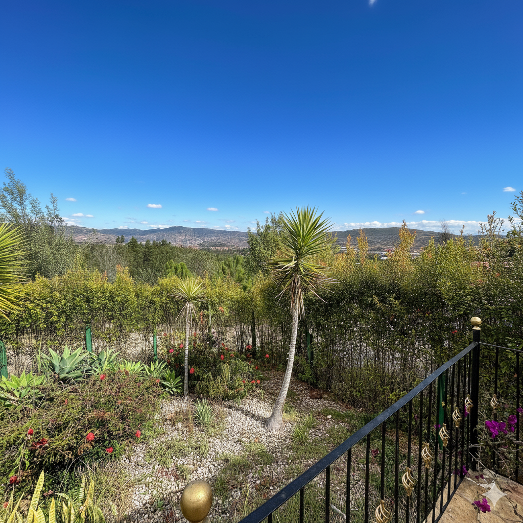 View from the Altos del Viento terrace 