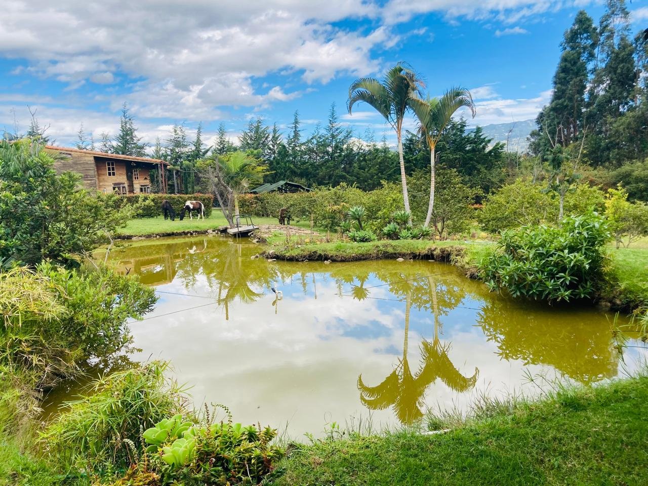 Living Room - Houses in Villa de Leyva