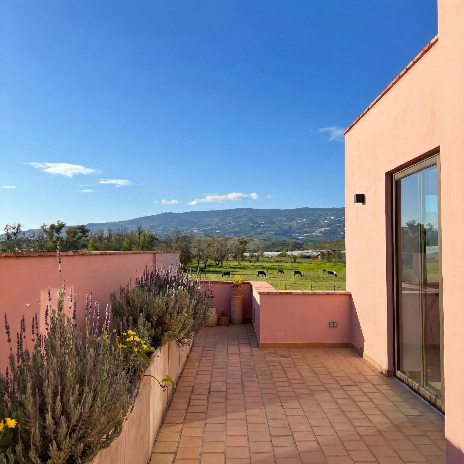 Villa de leyva - Casas en arriendo - finca raíz