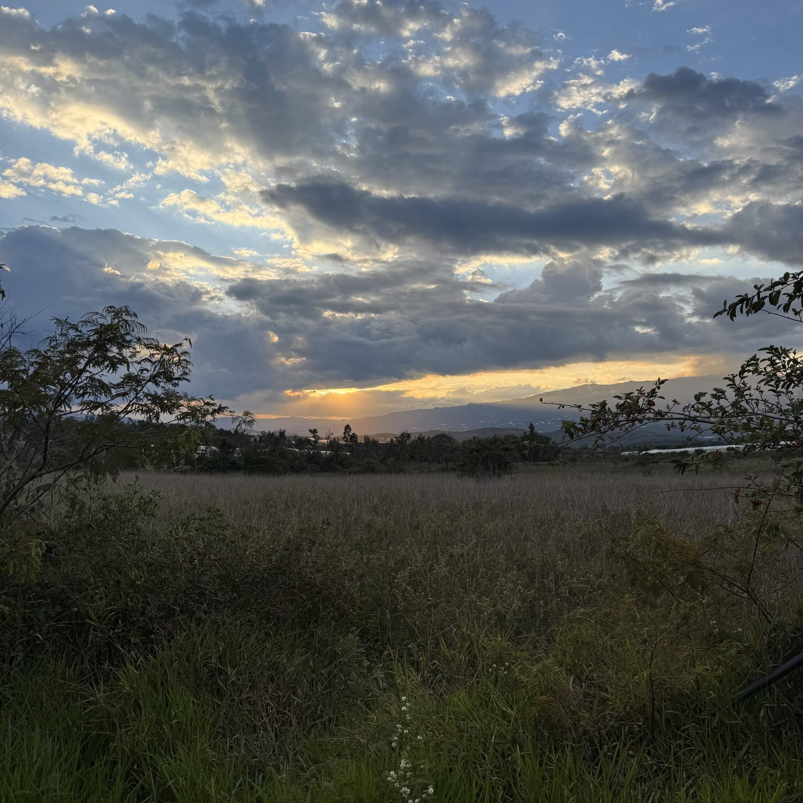 Reserva en Hotel Hacienda Boutique Cascanueces, Villa de Leyva. Hotel exclusivo con piscina climatizada, spa, zonas verdes y pet friendly. A solo 7 min del centro. Ideal para eventos y descanso