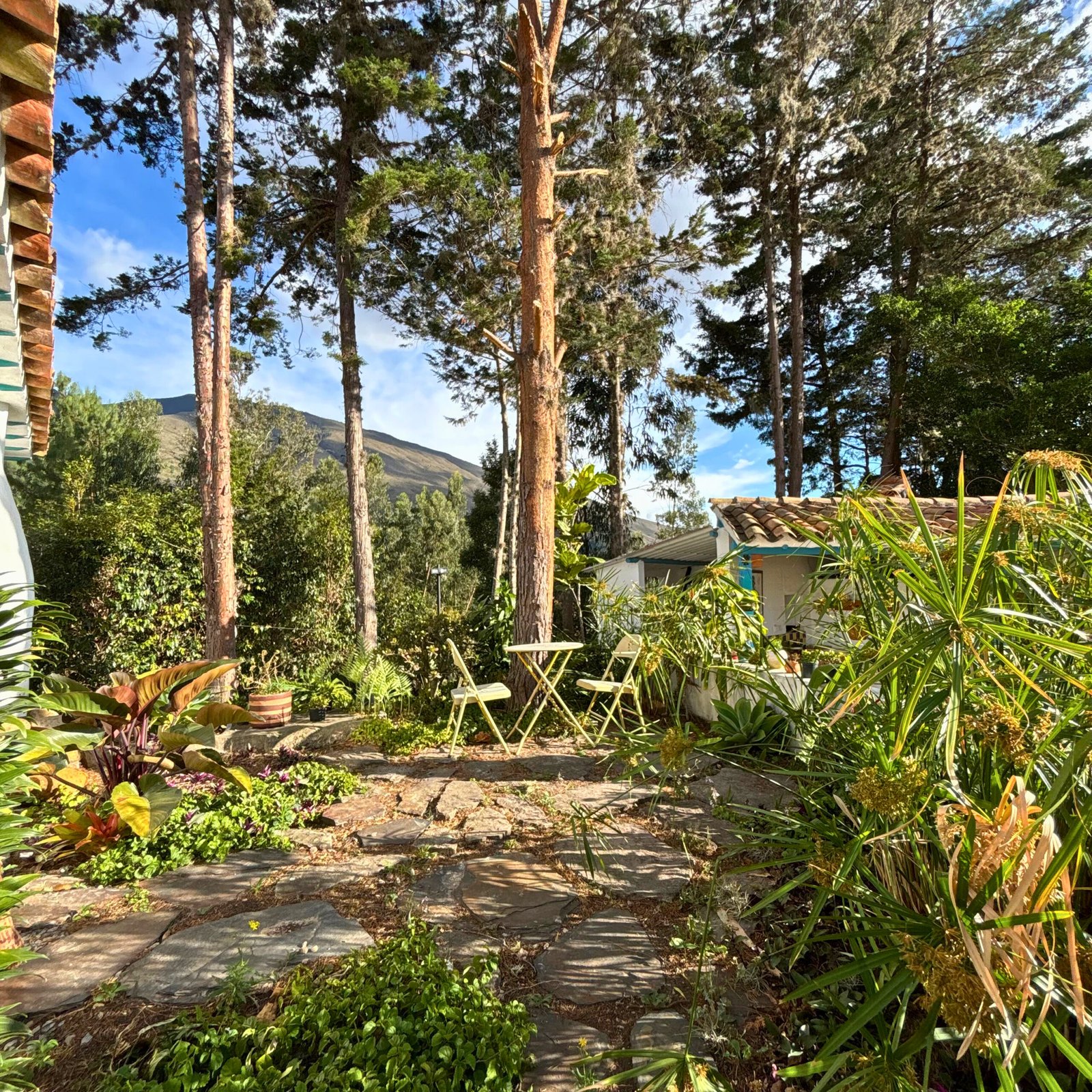 Casa Vida - Casas en Villa de Leyva - casas vacacionales - alquiler vacacional