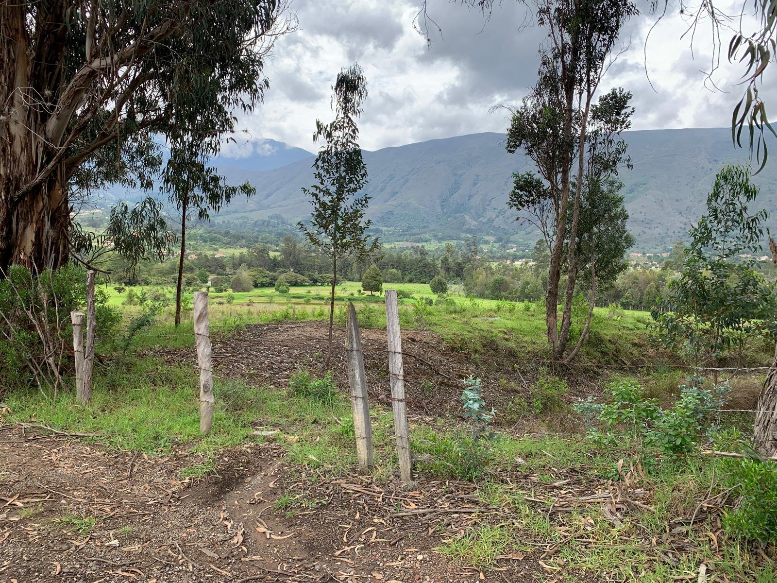 Villa de leyva - Casas en arriendo