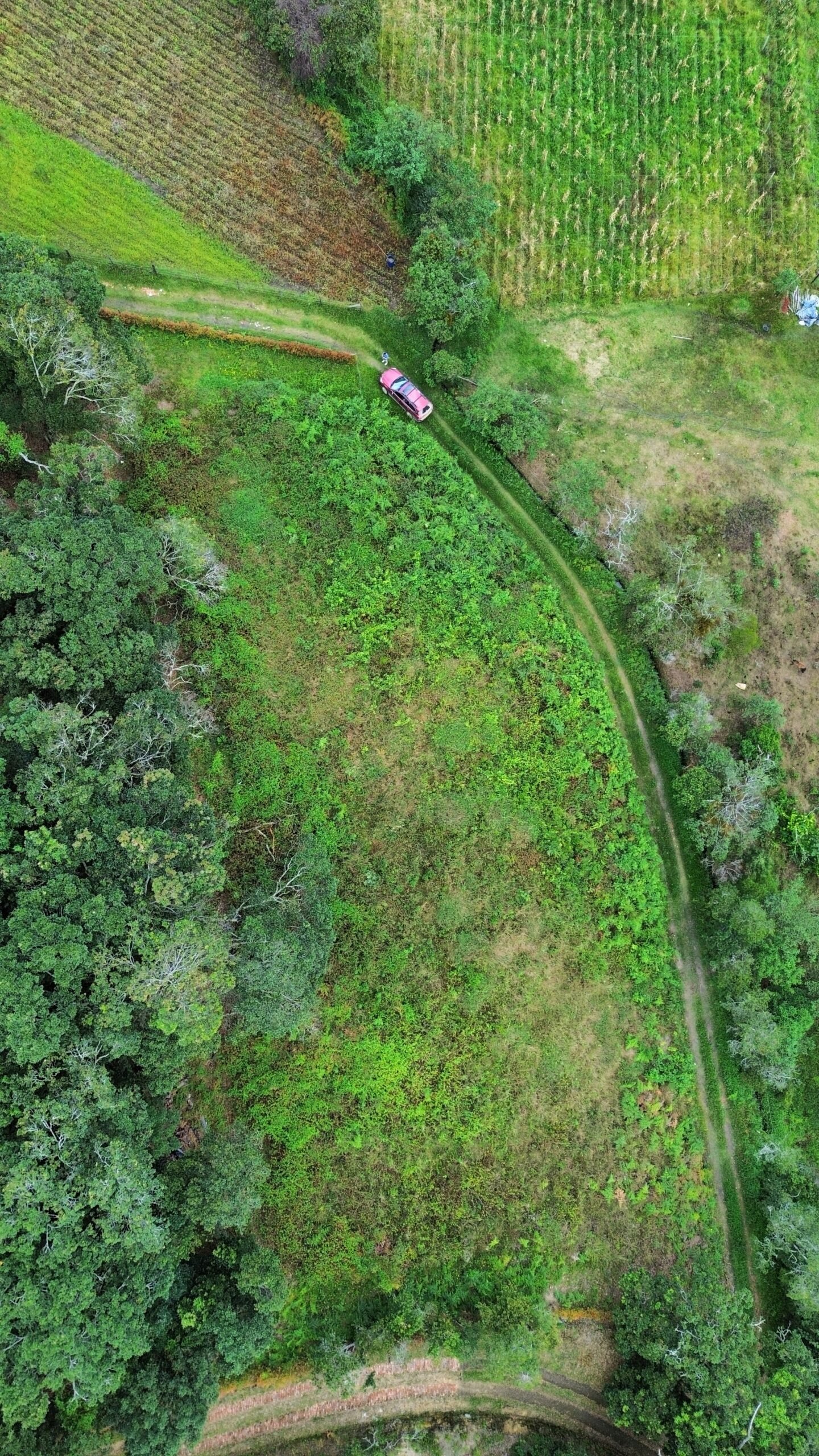 Villa de leyva - Casas en arriendo