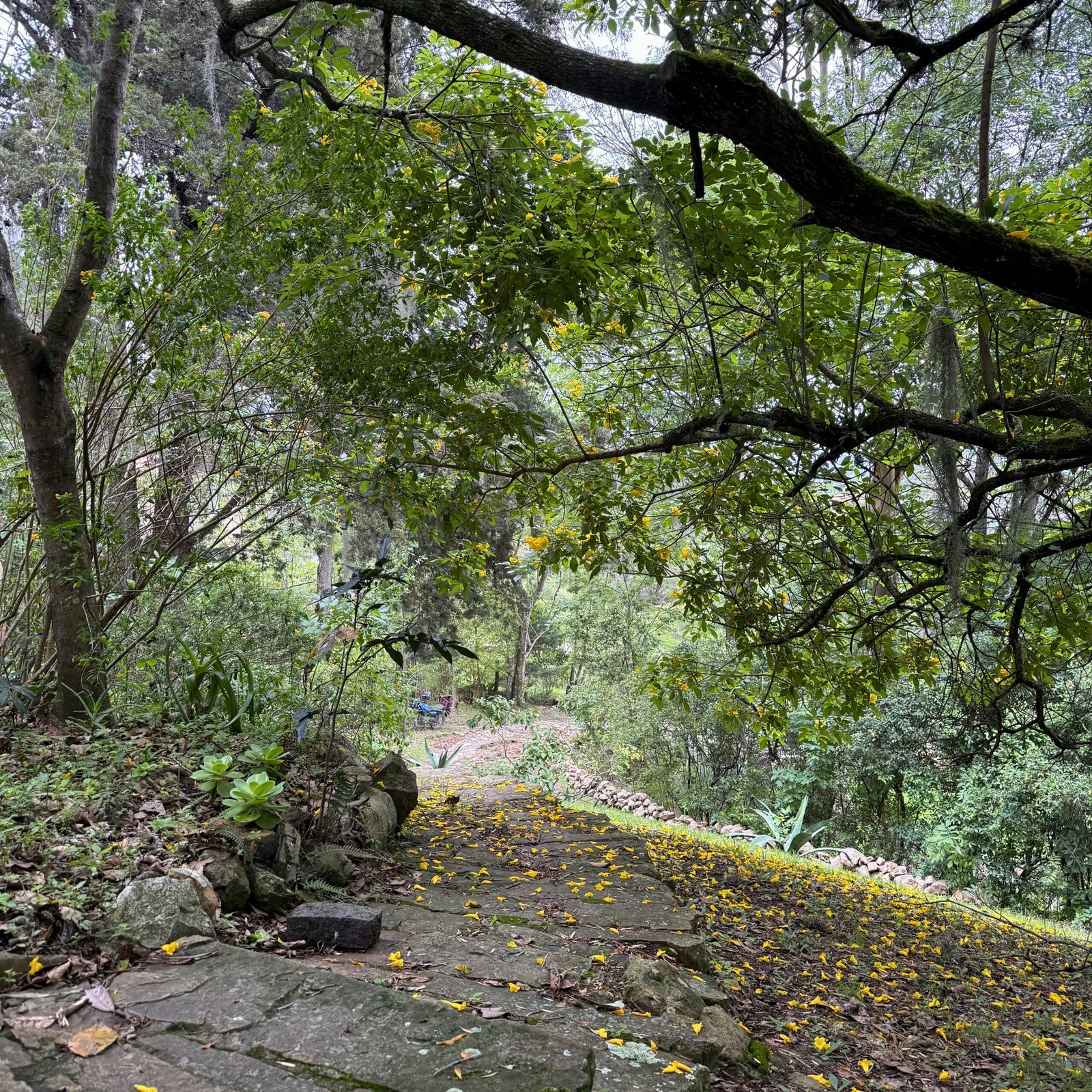 estudio - Casa en arriendo  - Vereda infiernito - Villa de Leyva - Casas en Villa de Leyva