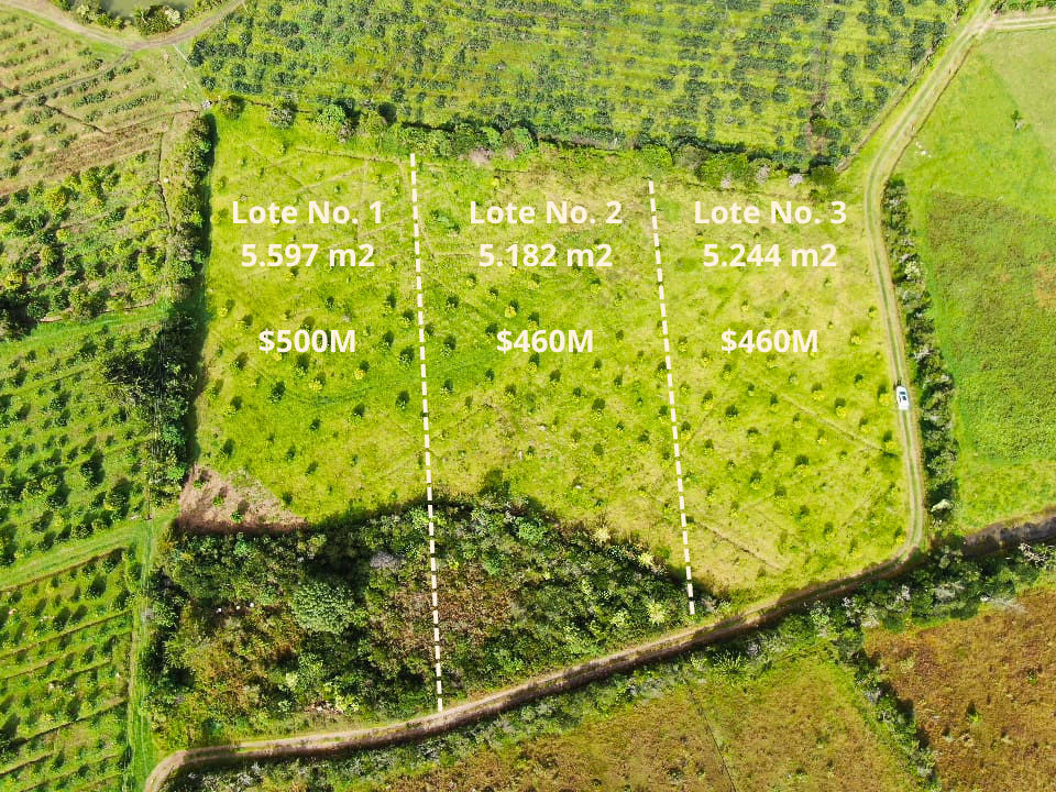 Casa Campania - Casas en Villa de Leyva