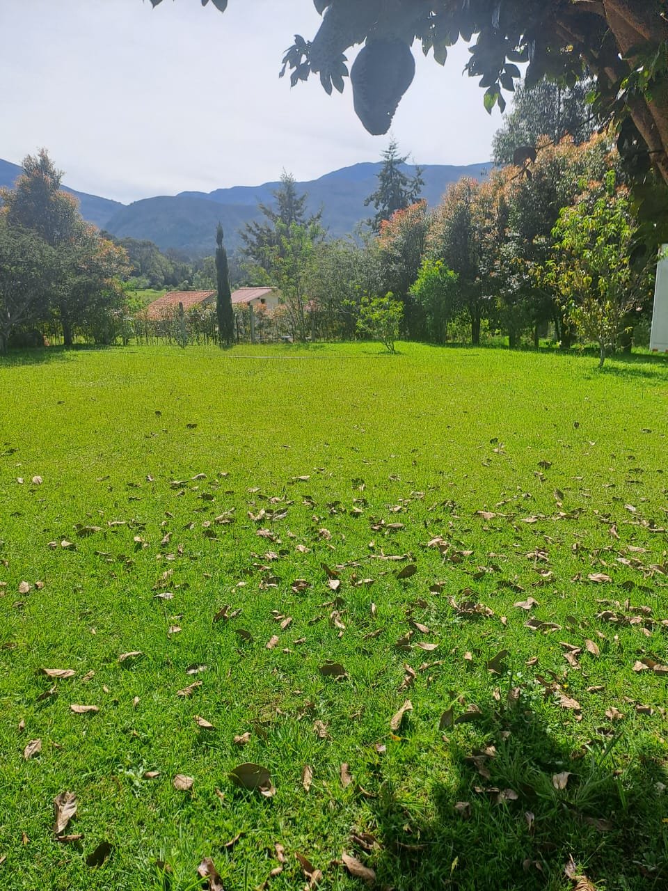 Villa de leyva - Casas en arriendo - finca raíz