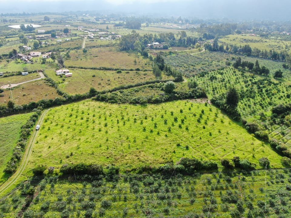 Casa en villa de leyva - Casas en arriendo