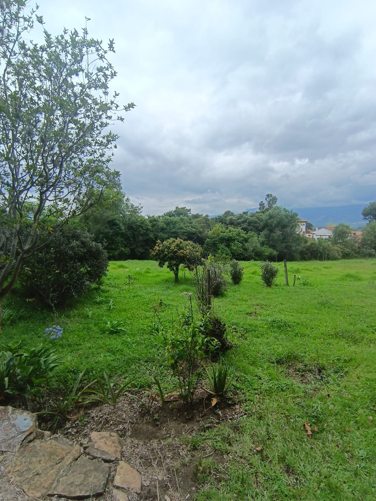 Sala - Casa en arriendo y venta  - Vereda infiernito - Villa de Leyva - Casas en Villa de Leyva - comedor