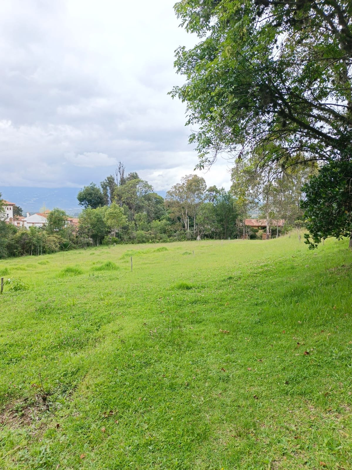 Casa en venta - villa de leyva - en el campo - finca raíz