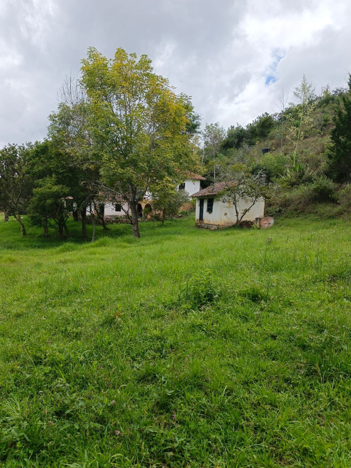 Casa en venta - villa de leyva - en el campo - finca raíz