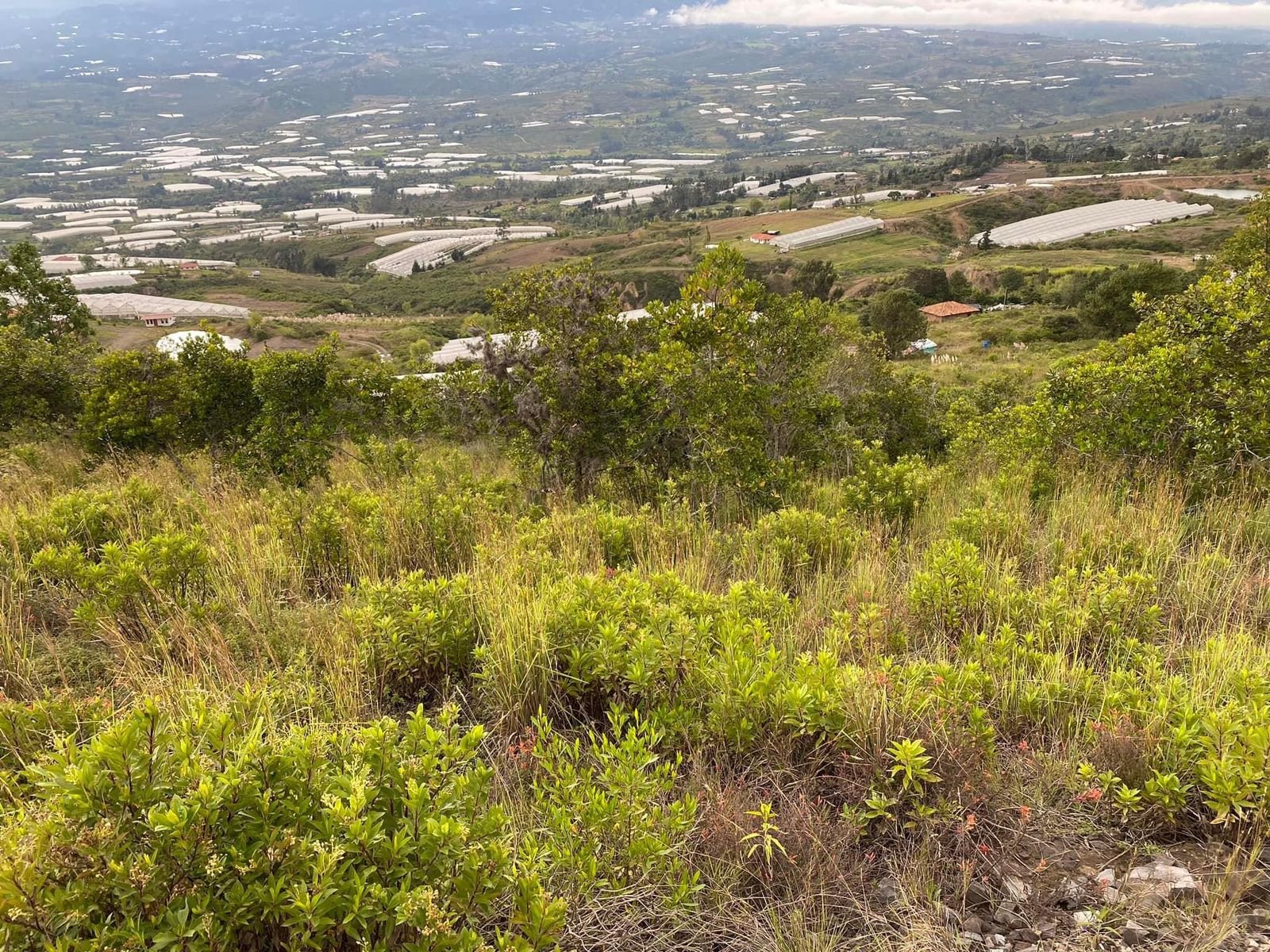 Casa en villa de leyva - Casas en arriendo