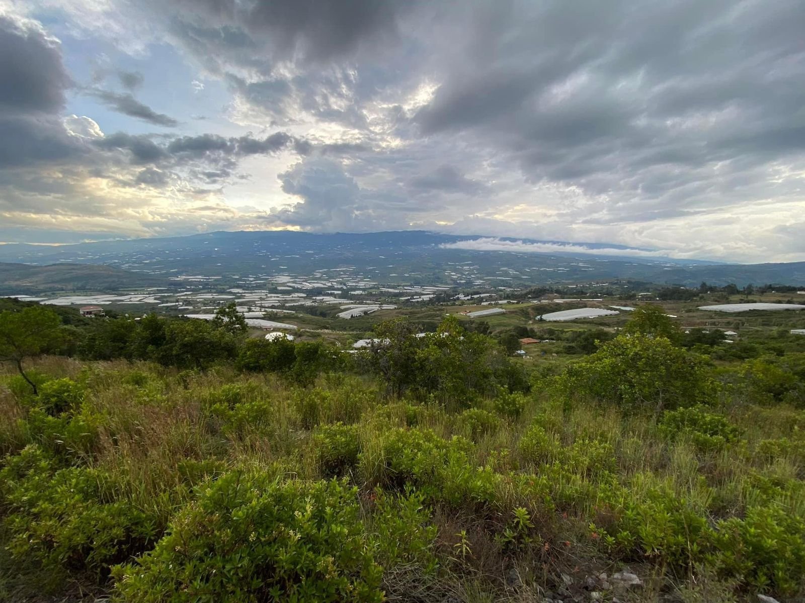 Villa de leyva - Casas en arriendo