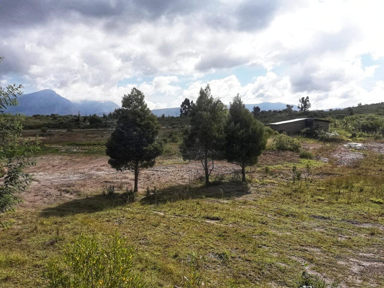 Villa de leyva - Casas en arriendo