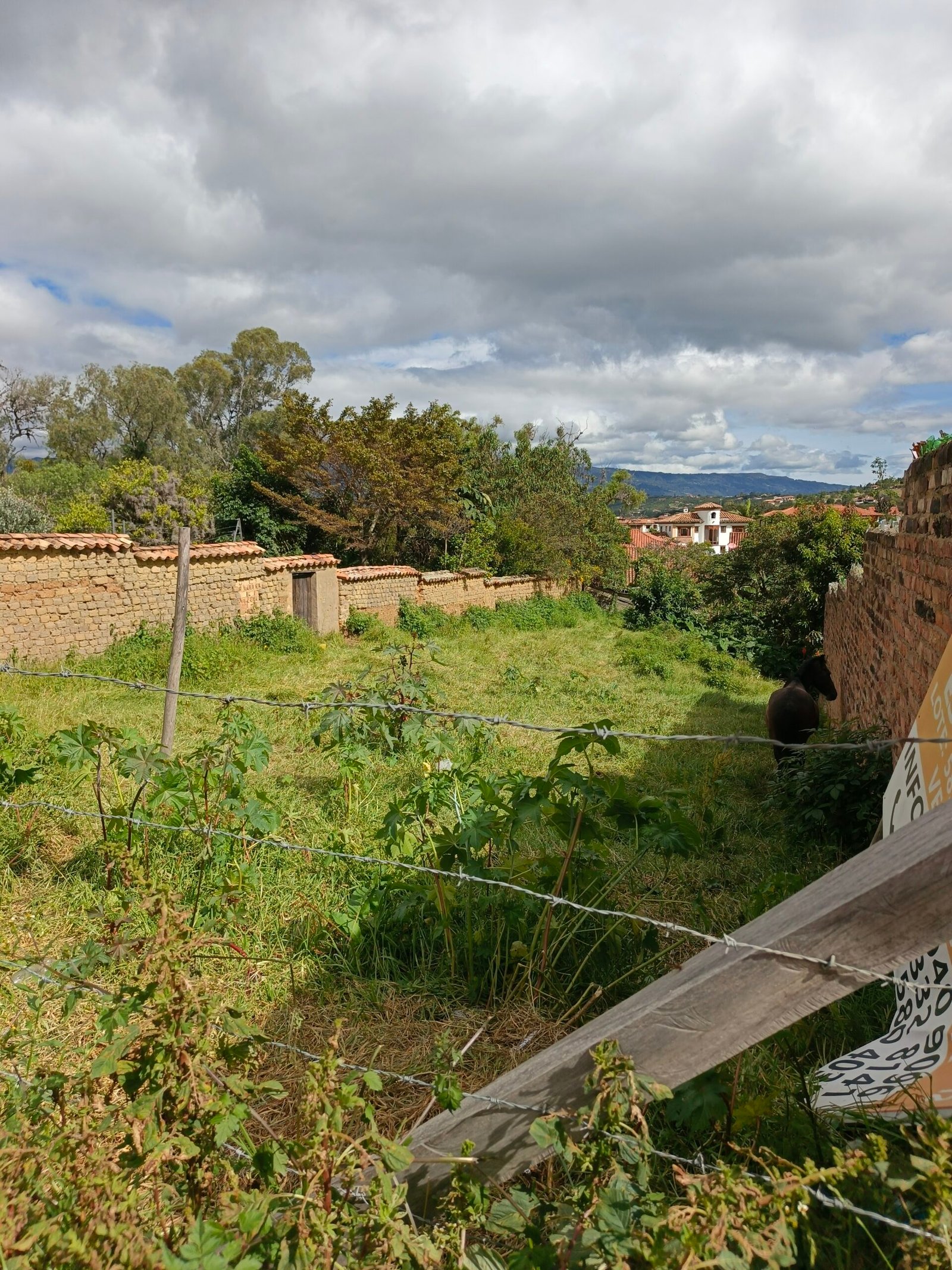 Casa en villa de leyva - Casas en arriendo